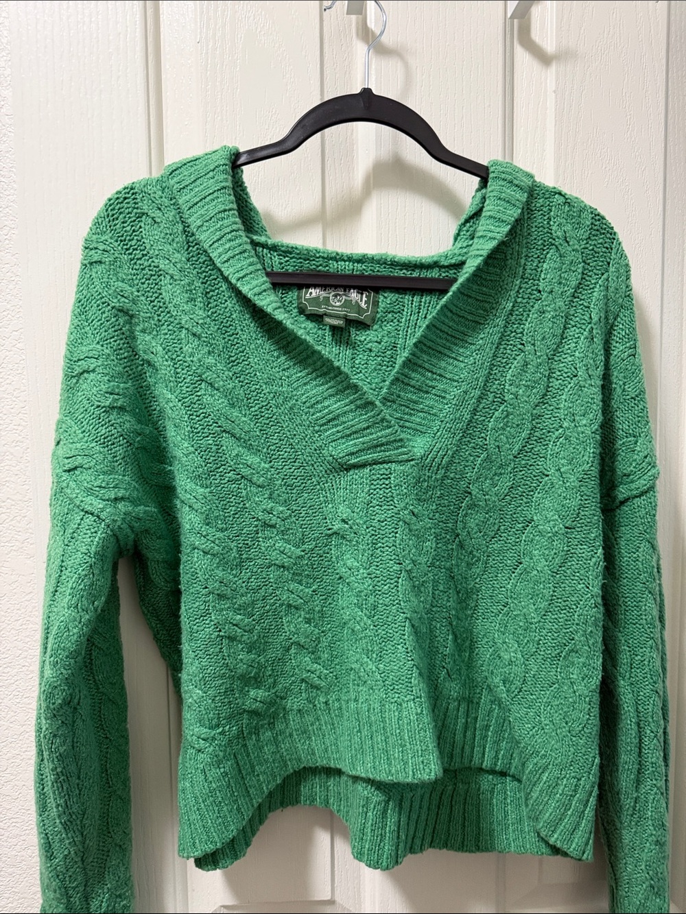 American Eagle Outfitters Kelly Green Cable V-Neck Sweater